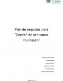 Plan de negocios para “Comité de Artesanas Peumayén”