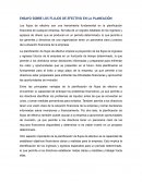Ensayo sobre los flujos de efectivo en la planeación