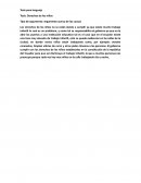 Tesis: Derechos de los niños