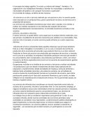 Dirección de operaciones