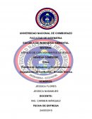 Práctica de Aplicación y Experimentación . Degradación de los Suelos - Erosión Hídrica