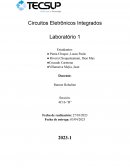 Circuitos Eletrônicos Integrados