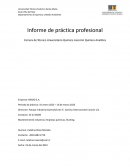 Informe sobre Práctica Profesional, Empresa: NEXXO S.A