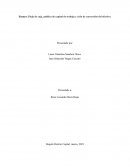 Flujo de caja, política de capital de trabajo y ciclo de conversión del efectivo