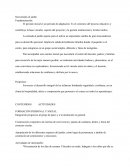 Bienvenidos al jardin