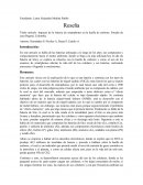 Impacto de la batería de smartphones en la huella de carbono: Estudio de caso Bogotá, Colombia