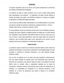 Auditoria.Aportes