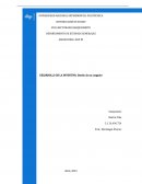 Diseño de un cargador , empresa Sunshine C.A