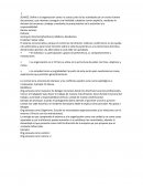 Sociología de la Organizacion