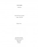 Administración de empresas . Macroeconomía