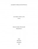 Formulación estratégica Panelitas la Cabra