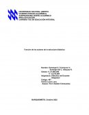 Función de los actores de estructuta didáctica