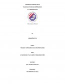 La naturaleza y las clases de organizaciones