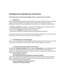 Psicología de las organizaciones: Experiencias
