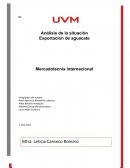 Mercadotecnia internacional AVEHASS