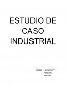 Trabajo procesos industriales