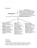 Mapa Conceptual:Psicolog'ia del color