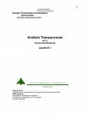 Analisis Transaccional