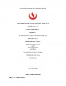 Video: “Deloitte ERP SAP”