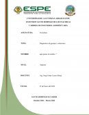 Diagnostico de granjas y soluciones