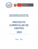 Proyecto educativo curricular