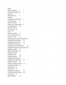Proyecto:Puesta en marcha de un sistema de defensa autónomo