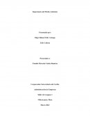 Importancia del medio ambiente