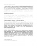 Laudato Si. Enciclica. desarrollo humano