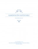 Alimentación sustentable. Impacto de la alimentación en el medio ambiente