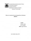 Efecto en el ambiente del uso de plaguicidas y fertilizantes