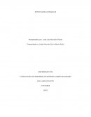 Mi formación profesional