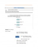 Termodinámica. Ejercicios de Balance