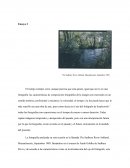 Fotografia el detalle