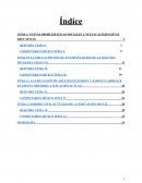 Nuevas problemáticas sociales y nuevas alternativas educativas