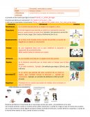 Fisica.Comprende los conceptos de velocidad y aceleración.