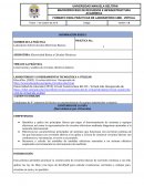 Construcción y análisis de circuitos eléctricos básicos