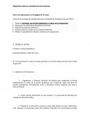 Esquema para el analisis de una escena