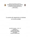 La carrera de ingeniería en sistemas en la universidad