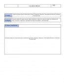 Análisis de Riesgos para la Calificación de Diseño, Instalación, Operación y Desempeño del Detector de Metales y Desempolvador.