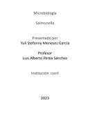 Microbiología. Salmonella