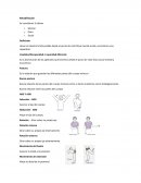 Guía de rehabilitación