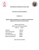 Reporte sobre la importancia y la influencia de diferentes organismos en pro de la cultura de paz