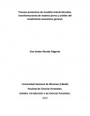 Proceso productivo de muebles industrializados, transformaciones de materia prima y análisis del rendimiento económico general
