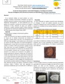 Cuero de camellia sinensis (té verde) con y sin grafeno