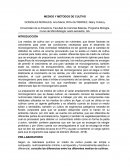 Medios y métodos de cultivo