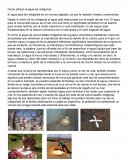 Como utilizan el agua los indígenas