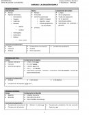 Lengua castellana y literatura 2º Bachillerato Sintaxis