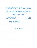 Diagnóstico situacional de la salud mental en la institución educativa