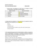 Evaluación diagnóstica de ecología