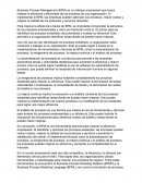 Business Process Management (BPM)